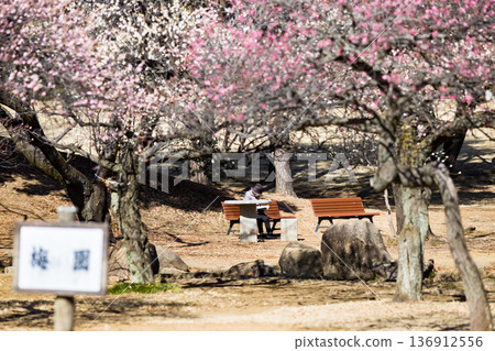 Plum Garden, Tokorozawa Aviation Memorial Park, Saitama Prefecture Plum Garden, Tokorozawa Aviation Memorial Park, Saitama Prefecture 136912556