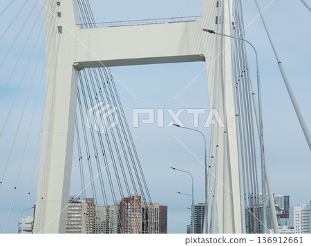 Cable stayed bridge structure with support cables against light sky background. Modern highway infrastructure architectural design. 136912661