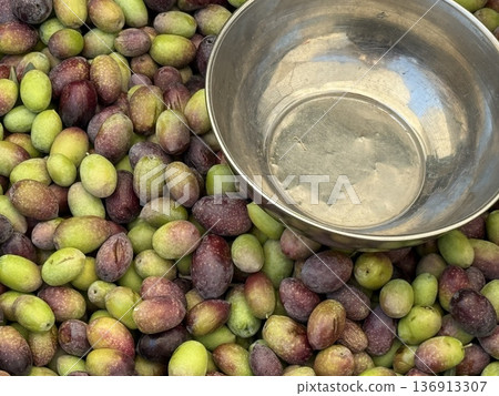Freshly harvested olives with a metal bowl, ideal for food background and agriculture theme 136913307