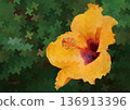 黃色芙蓉花和千鳥格圖案的數位插圖 136913396