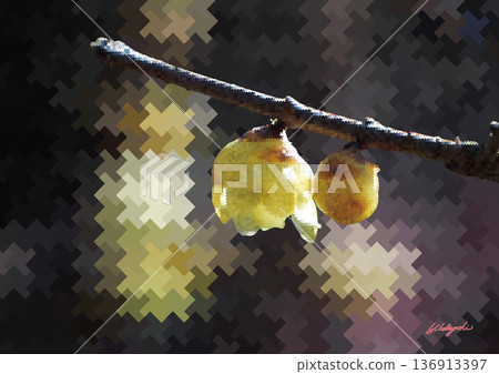 Digital illustration of wintersweet flowers blooming in winter and a houndstooth pattern Digital illustration of wintersweet flowers blooming in winter and a houndstooth pattern 136913397