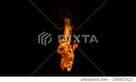 Torch Flame [Variation 1] 136913522
