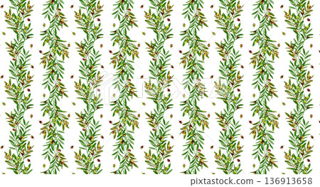 Olive fruit and leaf pattern background Botanical background White Olive fruit and leaf pattern background Botanical background White 136913658