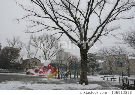 下雪天,公園裡靜待櫻花盛開。 下雪天,公園裡靜待櫻花盛開。 136913858