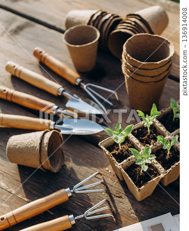 Gardening Tools and Seedling Pots on Wooden Surface 136914008