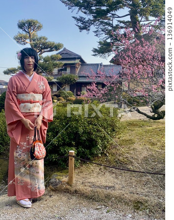 一位身著和服的美麗女子在早春的日式庭園中欣賞梅花。 一位身著和服的美麗女子在早春的日式庭園中欣賞梅花。 136914049