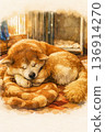 秋田犬舒適地睡在毯子上（水彩插圖） 136914270