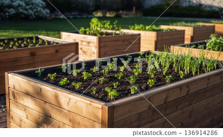 Raised Garden Beds with Young Plants Outdoors 136914286