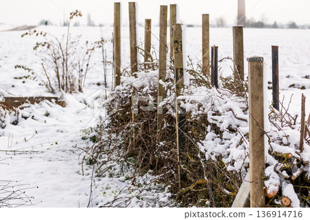 Dry hedge or Benjes hedge made of maintenance pruning branches, dead wood and roots, maintenance-free hedge, zero waste, upcycling, ecological, biotope welcoming to wildlife Dry hedge or Benjes hedge made of maintenance pruning branches, dead wood and roots, maintenance-free hedge, zero waste, upcycling, ecological, biotope welcoming to wildlife 136914716
