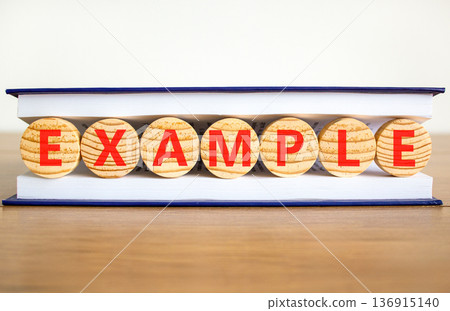Example examples symbol. Concept word Example on beautiful wooden circles in book. Beautiful wooden table white background. Business example examples concept. Copy space. 136915140