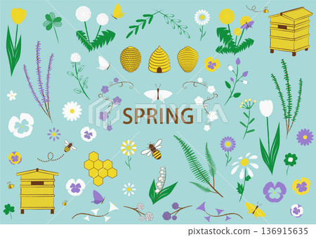 Set material Spring Early summer 136915635