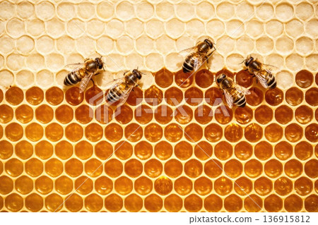 Honey bees working on honeycomb with golden honey close up natural production concept 136915812