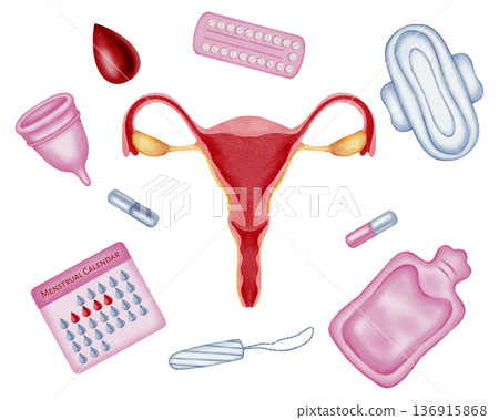 Watercolor composition with female reproductive system, menstrual cup, pad, tampon, hot water bottle, and calendar. Concept of women's health, hygiene and period pain relief Watercolor composition with female reproductive system, menstrual cup, pad, tampon, hot water bottle, and calendar. Concept of women's health, hygiene and period pain relief 136915868