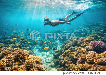 Woman Snorkeling Above Colorful Coral Reef with Tropical Fish in Clear Ocean Water 136915916