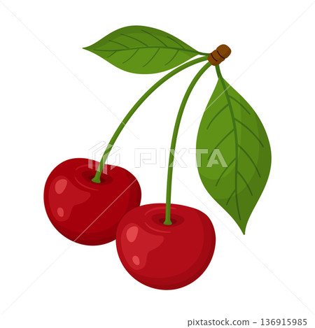 Two ripe red cherries on single stem with two green leaves. Hand drawn flat style isolated Two ripe red cherries on single stem with two green leaves. Hand drawn flat style isolated 136915985