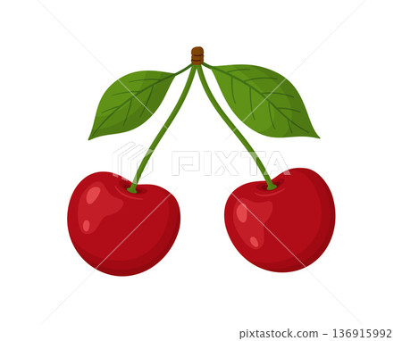 Two ripe red cherries on single stem with two green leaves. Hand drawn flat style isolated Two ripe red cherries on single stem with two green leaves. Hand drawn flat style isolated 136915992