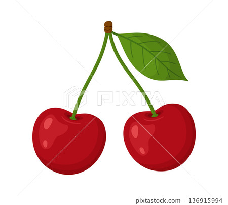 Two ripe red cherries on single stem with green leaf. Hand drawn flat style isolated 136915994