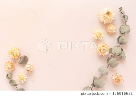 White flower background 136916651