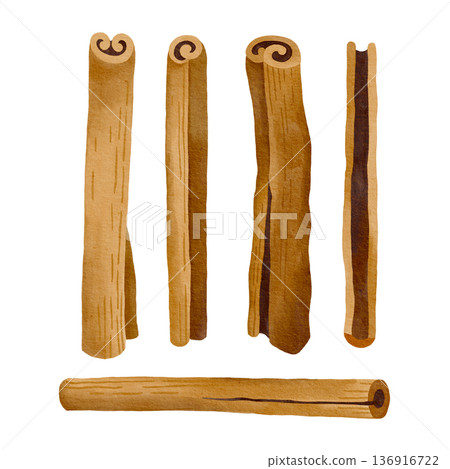 Hand-drawn watercolor cinnamon sticks illustrations for packaging, ingredients, label design or flavor concept or branding 136916722