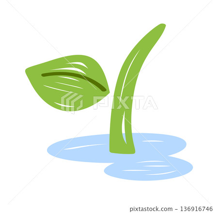 Plant sprout growing from water Plant sprout growing from water 136916746