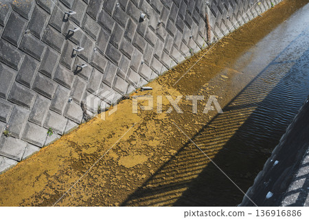 水道中積聚的污泥 136916886