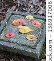 A collection of smiling leaves 136917006
