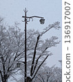 Snow street tree 136917007