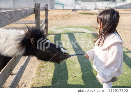 Girl feeding a pony 136917290
