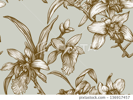 Vanilla orchid seamless coloring page. Vanilla orchid seamless coloring page. 136917457