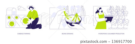 Growing vegetables isolated cartoon vector illustrations se Growing vegetables isolated cartoon vector illustrations se 136917700