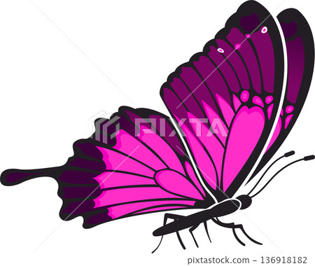 Butterfly Butterfly 136918182