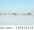 Winter landscape with white snow field and bare trees under blue sky. Cold season country scene for outdoor adventure and travel background. 136918318