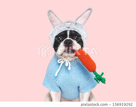 Cute dog with pink bunny ears 136919292