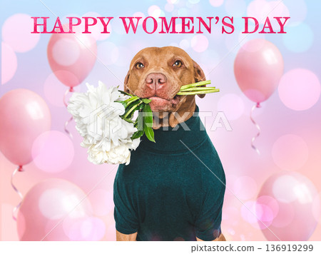 Happy Women's Day. Cute dog and congratulatory inscription Happy Women's Day. Cute dog and congratulatory inscription 136919299