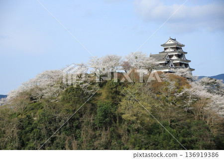 Ozu Castle, Ozu City, Ehime Prefecture 136919386