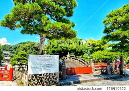 被新鮮的綠色植物包圍的區域 136919622