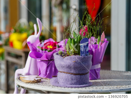 Festive spring flower pot featuring Hyacinthus orientalis and blooming primrose. Seasonal decor with pastel wrapping and Easter theme Festive spring flower pot featuring Hyacinthus orientalis and blooming primrose. Seasonal decor with pastel wrapping and Easter theme 136920705