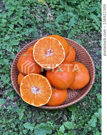 Fresh Jeju Island Sweet Tangerine 136921309