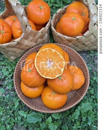 Fresh Jeju Island Sweet Tangerine 136921314