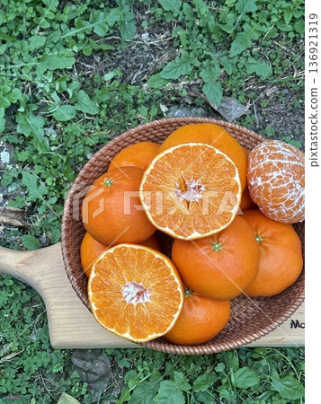 Fresh Jeju Island Sweet Tangerine 136921319