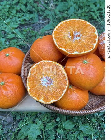 Fresh Jeju Island Sweet Tangerine 136921320