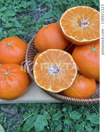 Fresh Jeju Island Sweet Tangerine 136921323