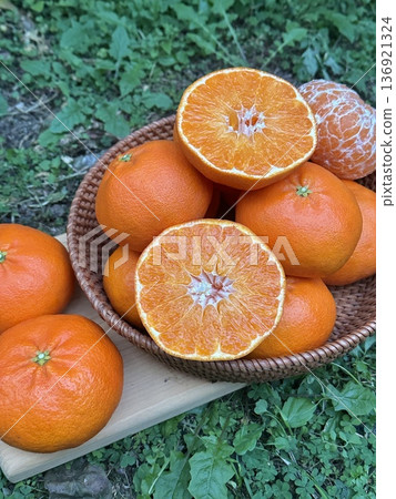 Fresh Jeju Island Sweet Tangerine 136921324