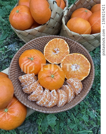 Fresh Jeju Island Sweet Tangerine 136921421