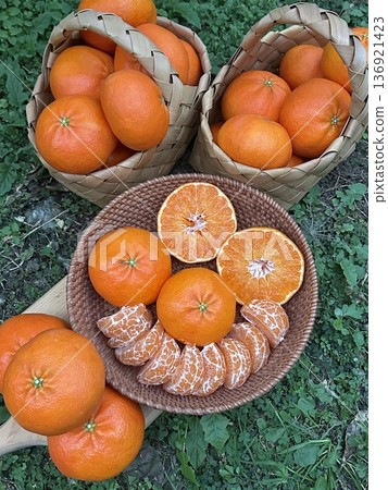 Fresh Jeju Island Sweet Tangerine Fresh Jeju Island Sweet Tangerine 136921423