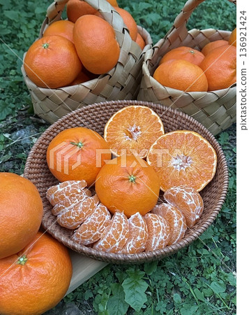 Fresh Jeju Island Sweet Tangerine 136921424