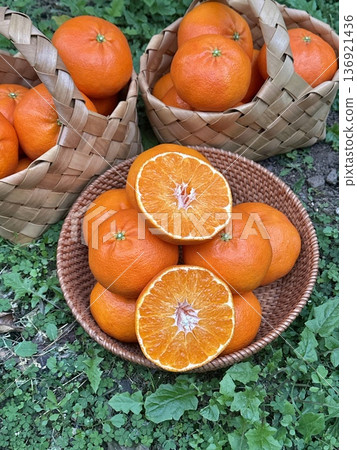 Fresh Jeju Island Sweet Tangerine Fresh Jeju Island Sweet Tangerine 136921436