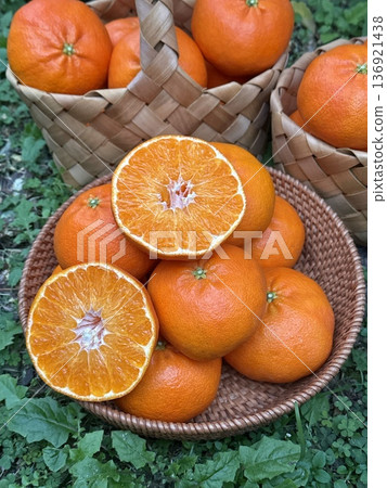 Fresh Jeju Island Sweet Tangerine 136921438