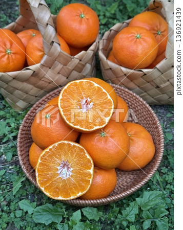 Fresh Jeju Island Sweet Tangerine 136921439