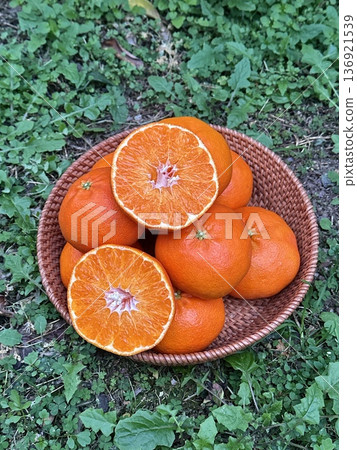 Fresh Jeju Island Sweet Tangerine Fresh Jeju Island Sweet Tangerine 136921539
